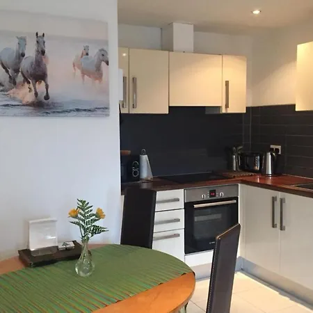 Lägenhet Delightful 1 Bedroom Central Dublin