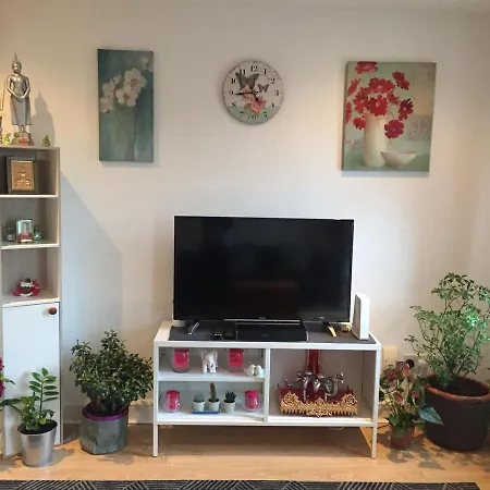 Delightful 1 Bedroom Central Lägenhet Dublin